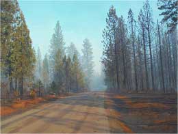 Road in Shasta County CA